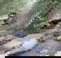 Bomaderry Creek Regional Park - Accommodation VIC