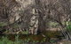 Brisbane Ranges National Park - thumb 0
