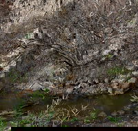 Brisbane Ranges National Park - Accommodation VIC