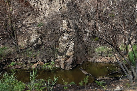 Brisbane Ranges National Park - Accommodation VIC 0