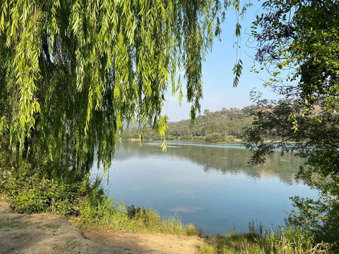 Eildon Pondage Walk - Accommodation VIC 1