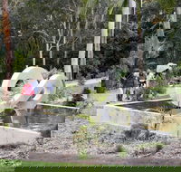 Maroochy Regional Bushland Botanic Garden - Accommodation VIC