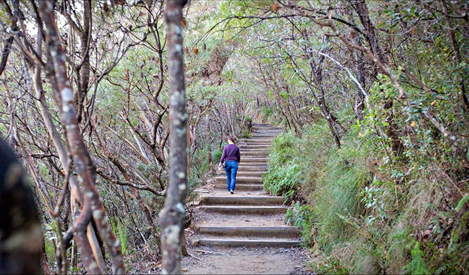 Wentworth Falls NSW Accommodation VIC