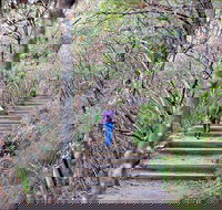 Princes Rock Walking Track - Accommodation VIC