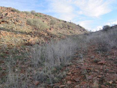 Sundown Nature Trail - Accommodation VIC 2