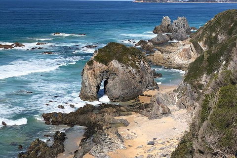 Narooma And Tilba Valley Private Tour - Accommodation VIC 8