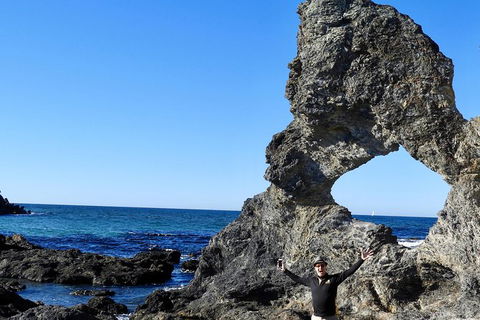 Narooma And Tilba Valley Private Tour - Accommodation VIC 4