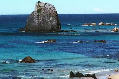 Narooma And Tilba Valley Private Tour - Accommodation VIC 9