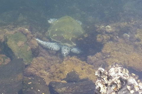 Sawtell To Coffs Harbour Bike Ride - Accommodation VIC 4