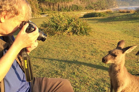 Highlights Of The Eurobodalla (half Day Private Tour) - Accommodation VIC 2