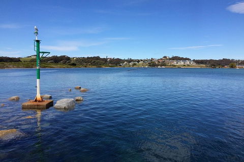 Highlights Of The Eurobodalla (half Day Private Tour) - Accommodation VIC 14