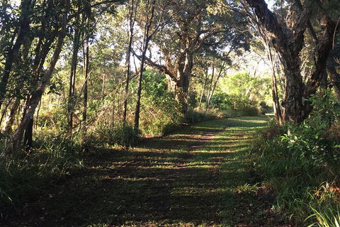 Coffs Harbour To Sawtell Bike Ride - Accommodation VIC 7