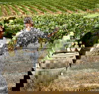 VIP Soil-To-Cellar Experience - Accommodation VIC