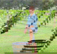 Hunter Valley Grape Stomping - Accommodation VIC