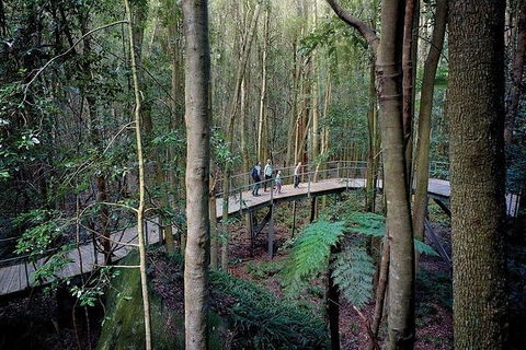 All-Inclusive Blue Mountains Tour In A Luxury Mercedes Sprinter - Accommodation VIC 13