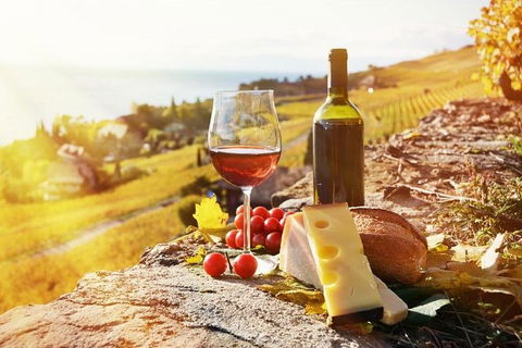 Six Hour - Plan Your Own Wine And Cheese Tour Hunter Valley - Accommodation VIC 0