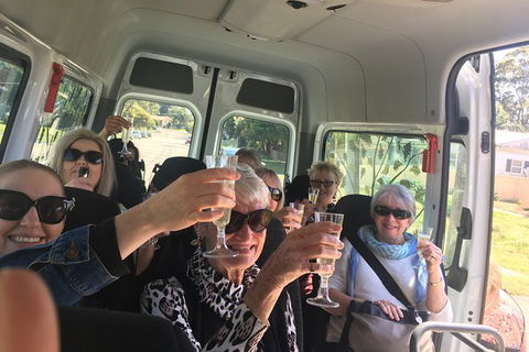 Six Hour - Plan Your Own Wine And Cheese Tour Hunter Valley - Accommodation VIC 1