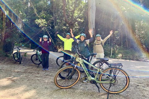 Guided E Bike Tour - Unicorn Falls & National Park - Accommodation VIC 3