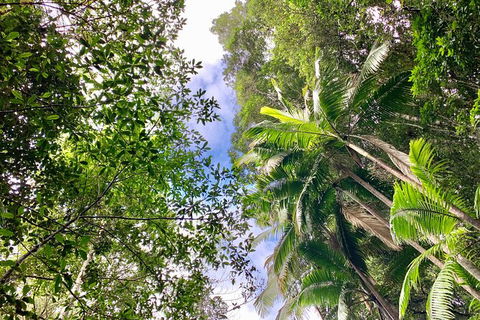 Guided E Bike Tour - Unicorn Falls & National Park - Accommodation VIC 5