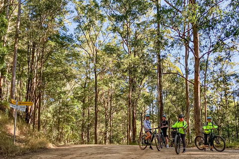 Guided E Bike Tour - Unicorn Falls & National Park - Accommodation VIC 10