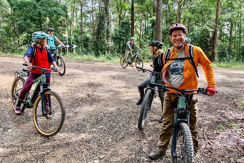 Guided E Bike Tour - Unicorn Falls & National Park - Accommodation VIC 18