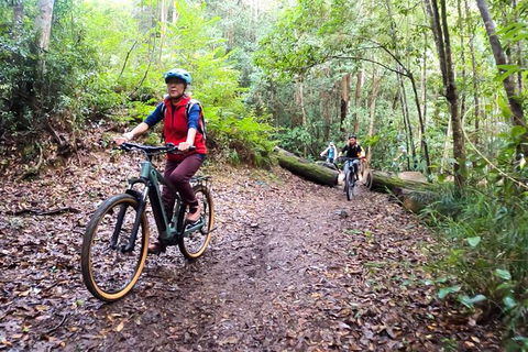 Guided E Bike Tour - Unicorn Falls & National Park - Accommodation VIC 9