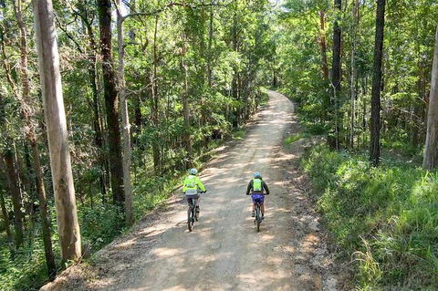 Guided E Bike Tour - Unicorn Falls & National Park - Accommodation VIC 7