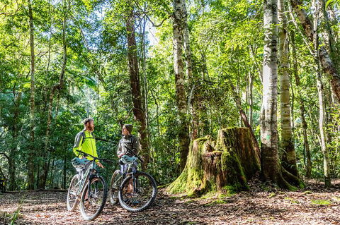 Guided E Bike Tour - Unicorn Falls & National Park - Accommodation VIC 14