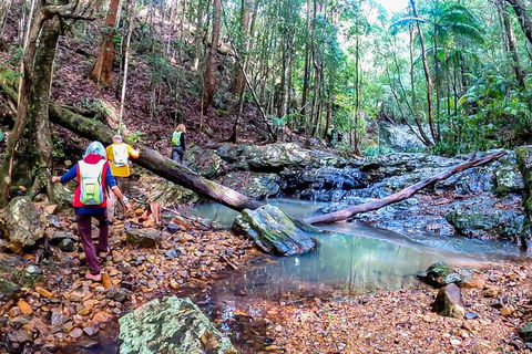 Guided E Bike Tour - Unicorn Falls & National Park - Accommodation VIC 17