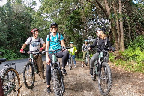 Guided E Bike Tour - Unicorn Falls & National Park - Accommodation VIC 11