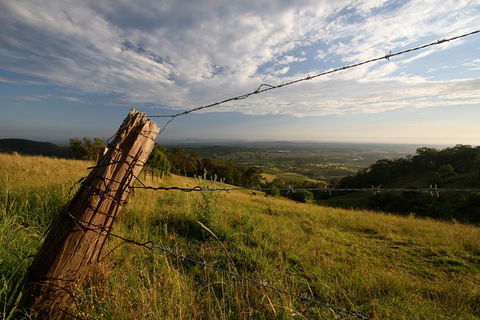 Private Full-Day Wine Tour In Hunter Valley - Accommodation VIC 3