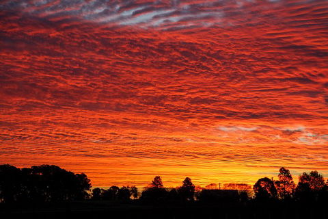 Private Full-Day Wine Tour In Hunter Valley - Accommodation VIC 0