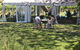 The Secret Vines Experience Port Macquarie - thumb 2