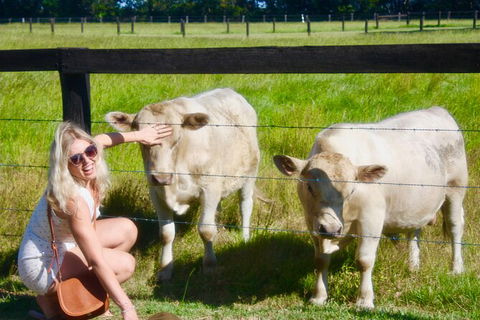 Hipster Sipster Brewery & Distillery Tour - Northern NSW - Accommodation VIC 8