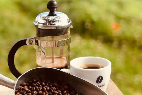 Coffee Farm Tour And Workshop, Byron Bay Hinterland - Accommodation VIC 0