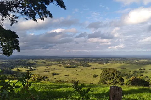 Coffee Farm Tour And Workshop, Byron Bay Hinterland - Accommodation VIC 4