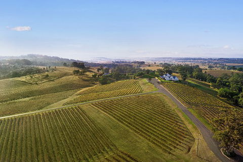 Audrey Wilkinson Vineyard: Fromage And Fortified Wine Experience - Accommodation VIC 1