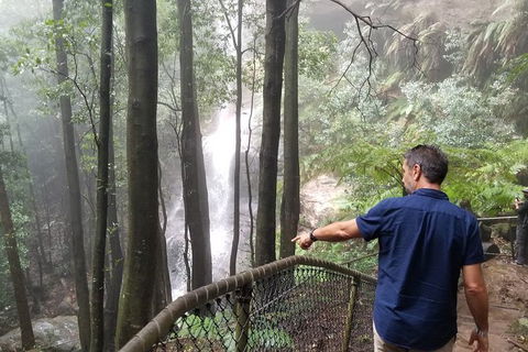 Blue Mountains Highlights, Wildlife Park And Scenic World Full Day Private Tour - Accommodation VIC 6