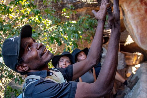 Arnhem Land Injalak Hill Full-Day Tour From Jabiru - Accommodation VIC 0