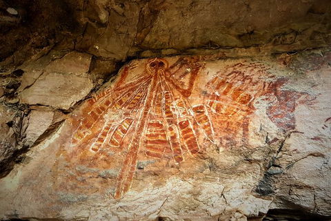 Arnhem Land Injalak Hill Full-Day Tour From Jabiru - Accommodation VIC 2