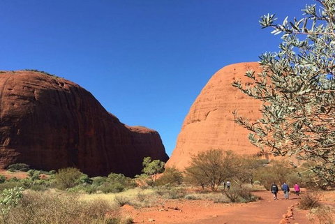 5-Hour Kata Tjuta Sunrise Tour From Ayers Rock With Breakfast - Accommodation VIC 2