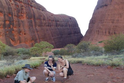5-Hour Kata Tjuta Sunrise Tour From Ayers Rock With Breakfast - Accommodation VIC 3