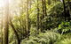 Serenity Cruise To Australia\'s Everglades - thumb 8
