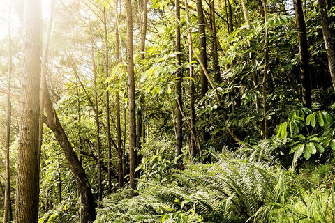 Serenity Cruise To Australia\'s Everglades - Accommodation VIC 8