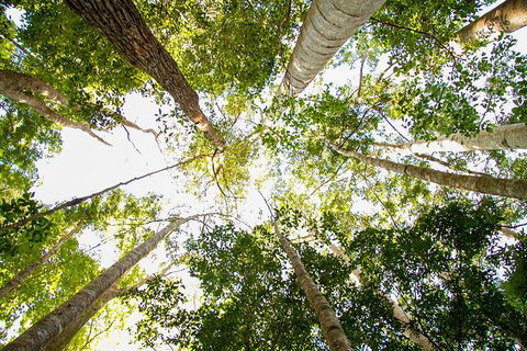 Fraser Island 4WD Tour From Noosa - Accommodation VIC 5