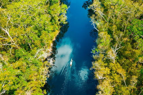Cruise \'n\' Canoe To Australia\'s Everglades - Accommodation VIC 1
