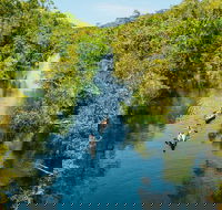 Cruise 'n' Canoe to Australia's Everglades - Accommodation VIC