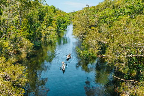 Cruise \'n\' Canoe To Australia\'s Everglades - Accommodation VIC 0