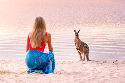 Cruise \'n\' Canoe To Australia\'s Everglades - Accommodation VIC 2