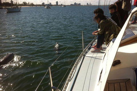 Gold Coast Sailing Cruise With Sparkling Wine & Nibbles Platter - Accommodation VIC 3